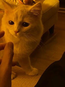 First pic of Xiao Jiu - 29 September 2021