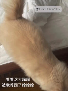 8 December 2021 - “Look at this big butt The roundness raised by me hahaha”