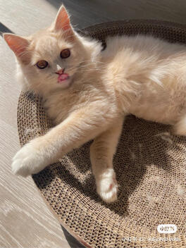 27 December 2021 - Reposted